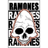 Магнит Ramones - Skull